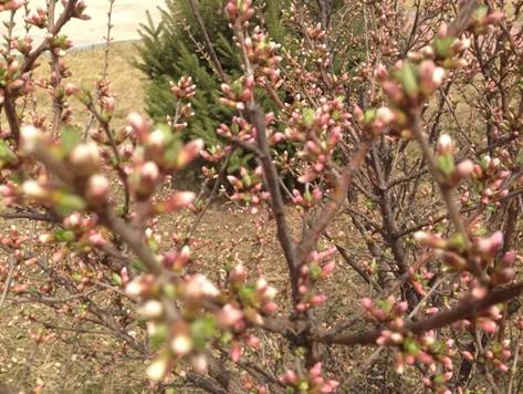 合发全球的近况,合发全球的消息