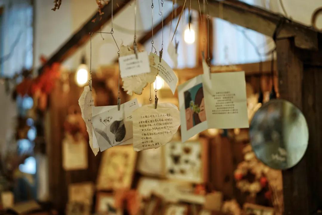 成都两个小姑娘开的老房子花艺杂货铺，外地游客不远千里专程打卡