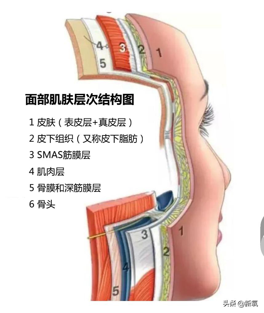 很多人夸赵丽颖,赵丽颖都被谁夸过