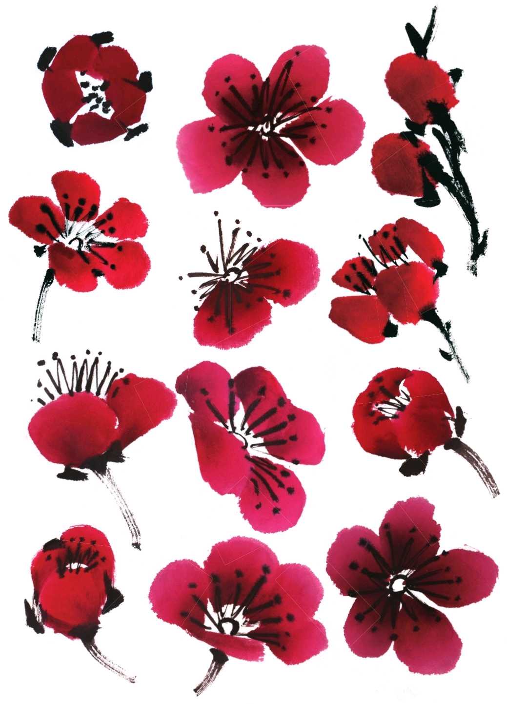 怎么画梅花和梅花树,写意画梅花的画法视频