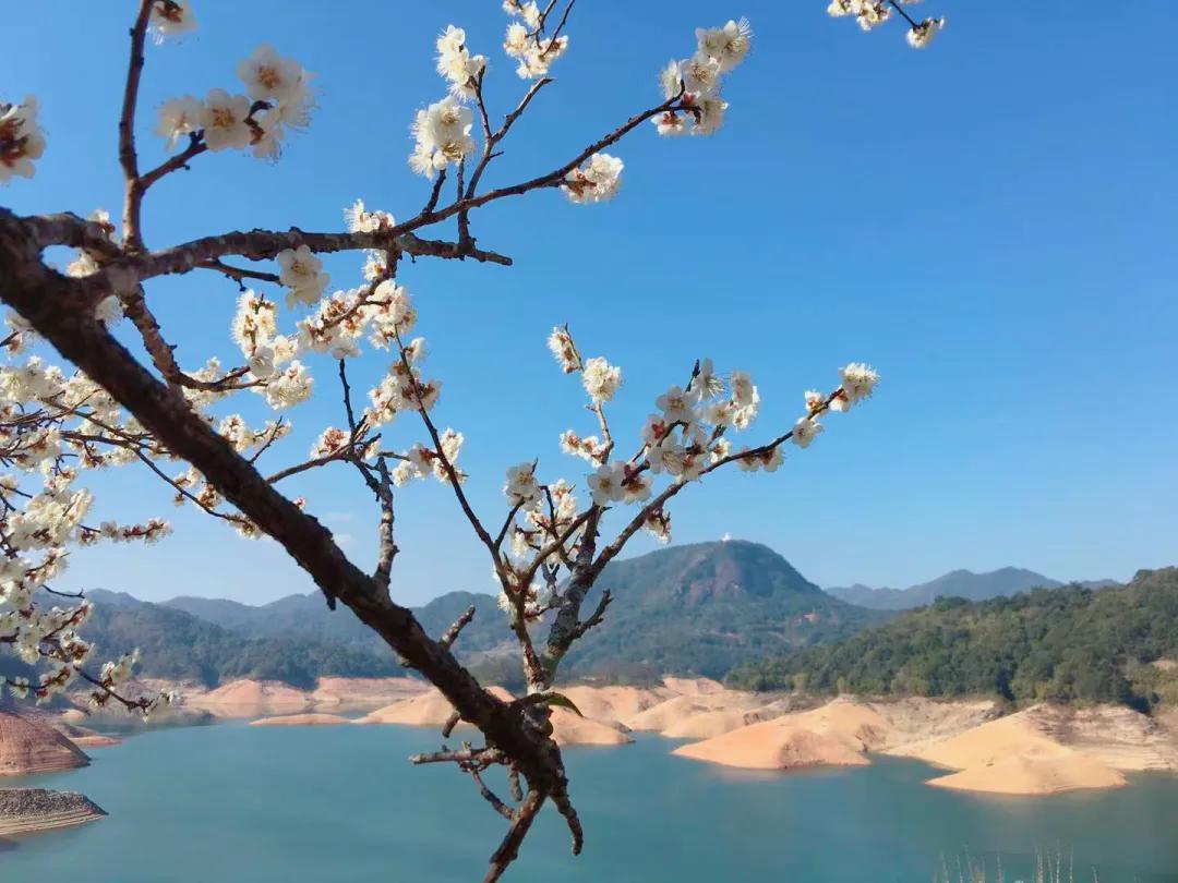 「山水中国」2021年1月||才入南湖烟雨路,梅开十里合春云