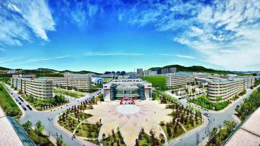 大连外国语大学2024年招生简章,大连外国语大学2021年研究生调剂