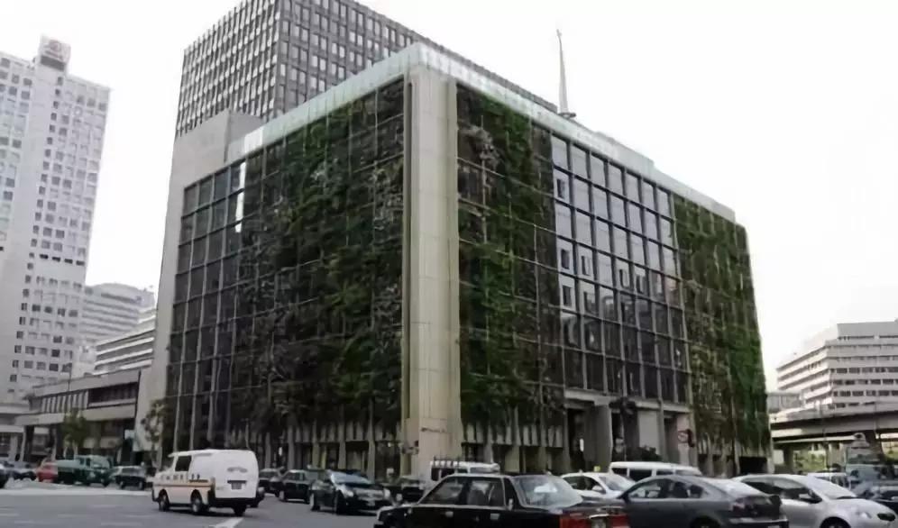 办公室里也能开挖掘机,办公室可以种葡萄