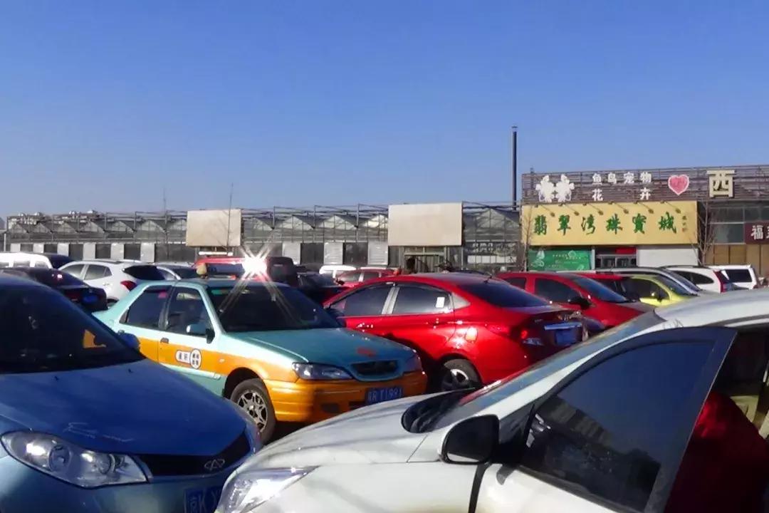 从亲子圣地到每天50个大巴团，九天休闲谷变味儿了？