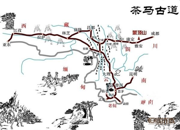 缅甸琥珀棕红有收藏价值吗,缅甸琥珀未来价值