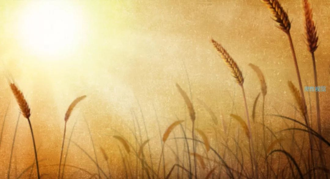 觉醒的力量完整版,觉醒的力量深度好文章