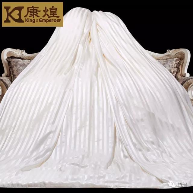 纯手工蚕丝被十大品牌,蚕丝被十大品牌排名官方价格表