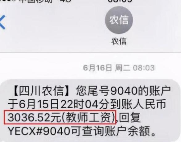 最新教师工资明细表,全国教师工资明细表