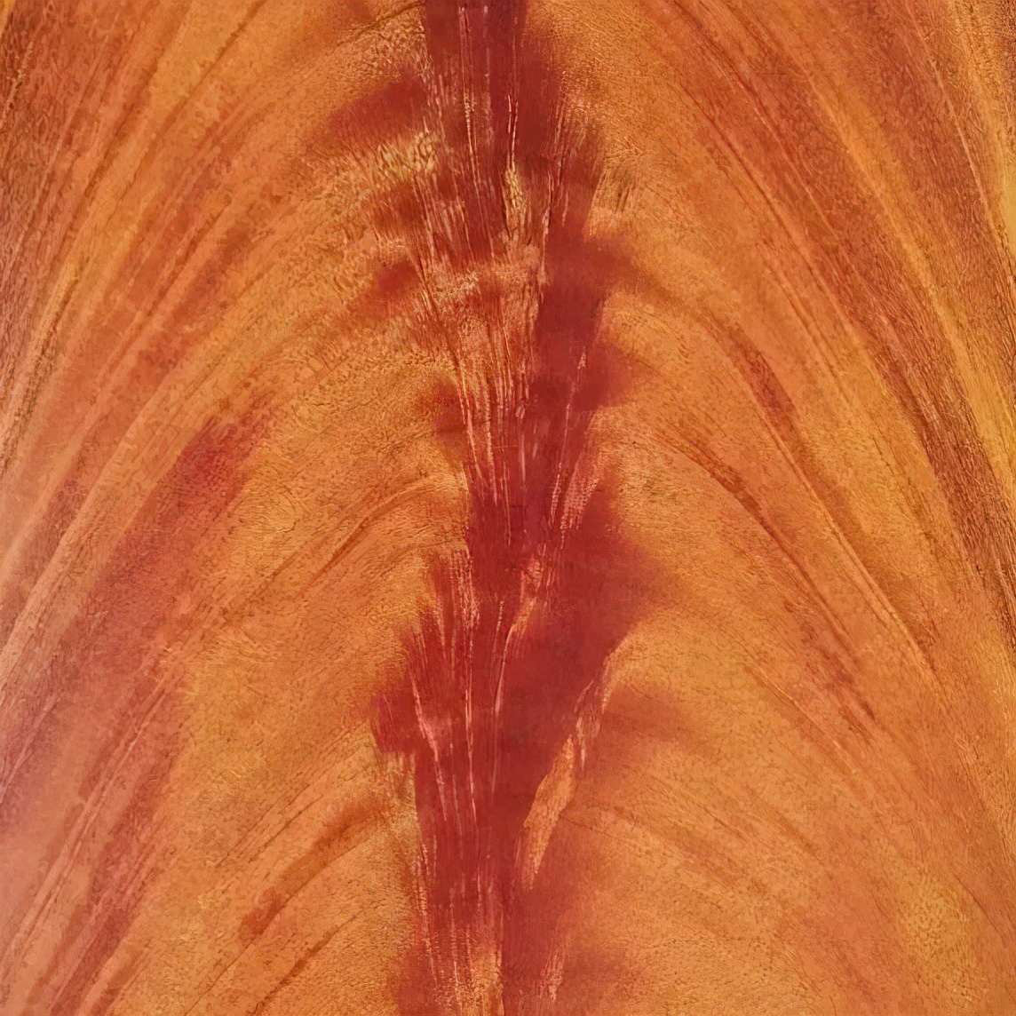 木皮染色材料视频,常见天然木皮