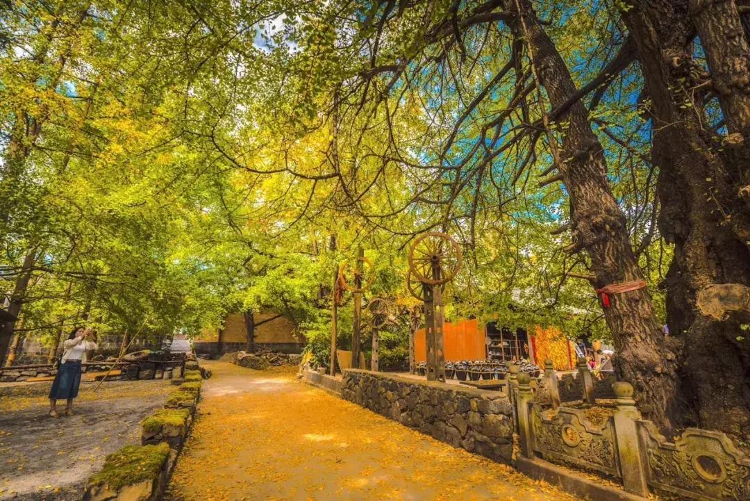 有问必答：腾冲到底哪里美？哪里能买到腾冲宣纸？