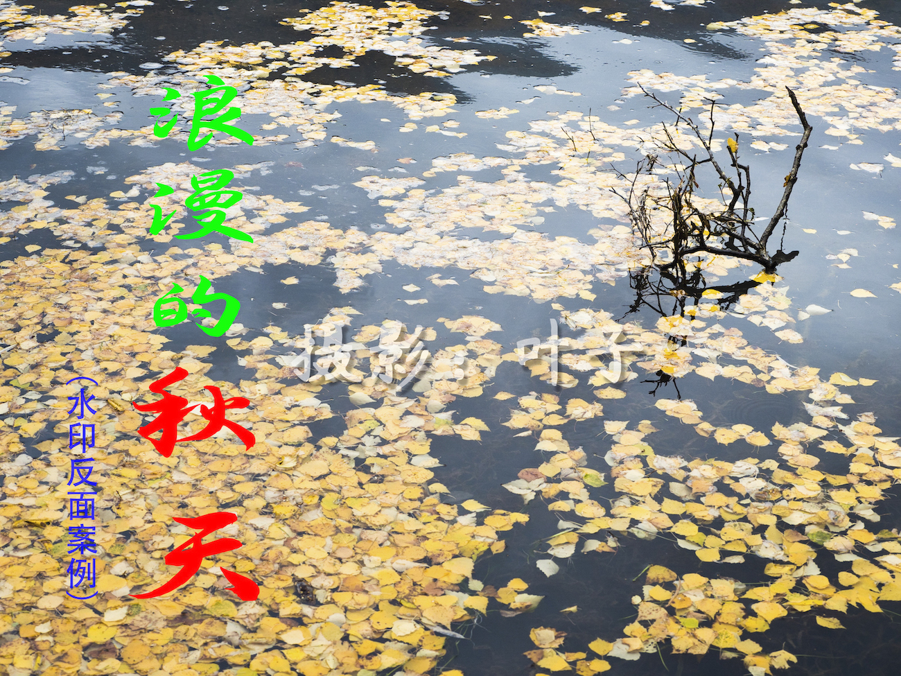 照片如何开启水印相机时间地点,摄影师是如何给照片➕水印的