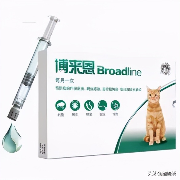 驱虫药怎么选？10个基础问题答疑