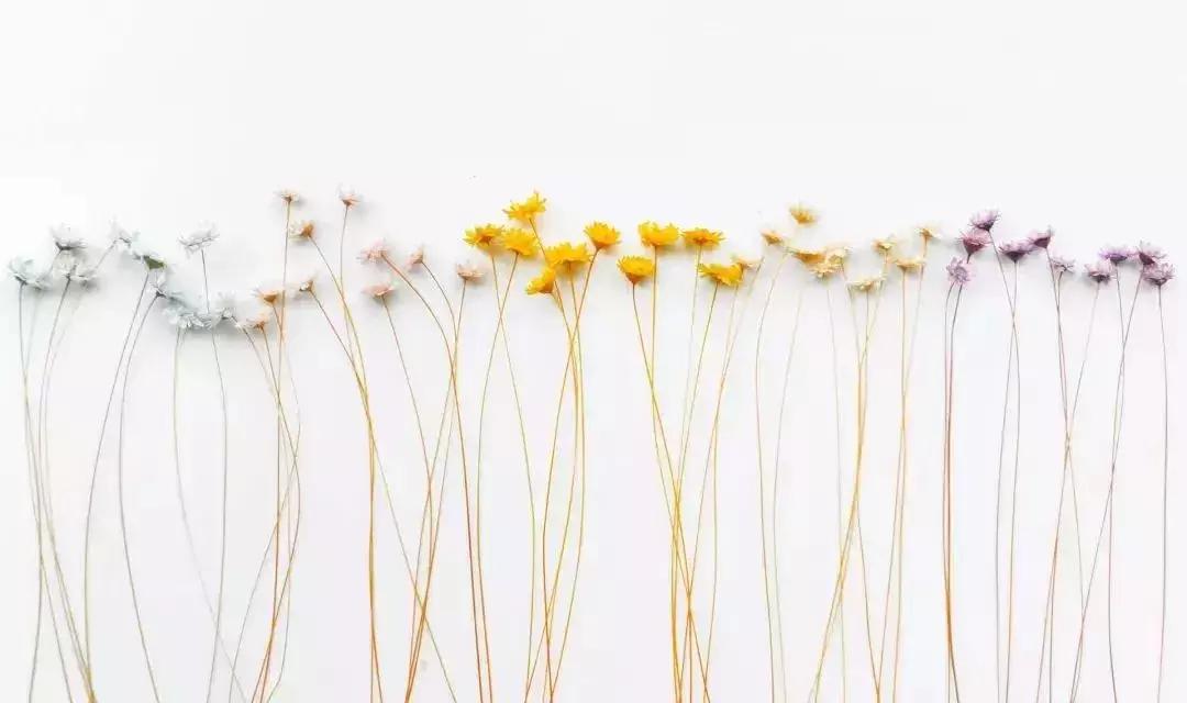 聪明家长都这样辅导孩子,聪明家长如何辅导作业