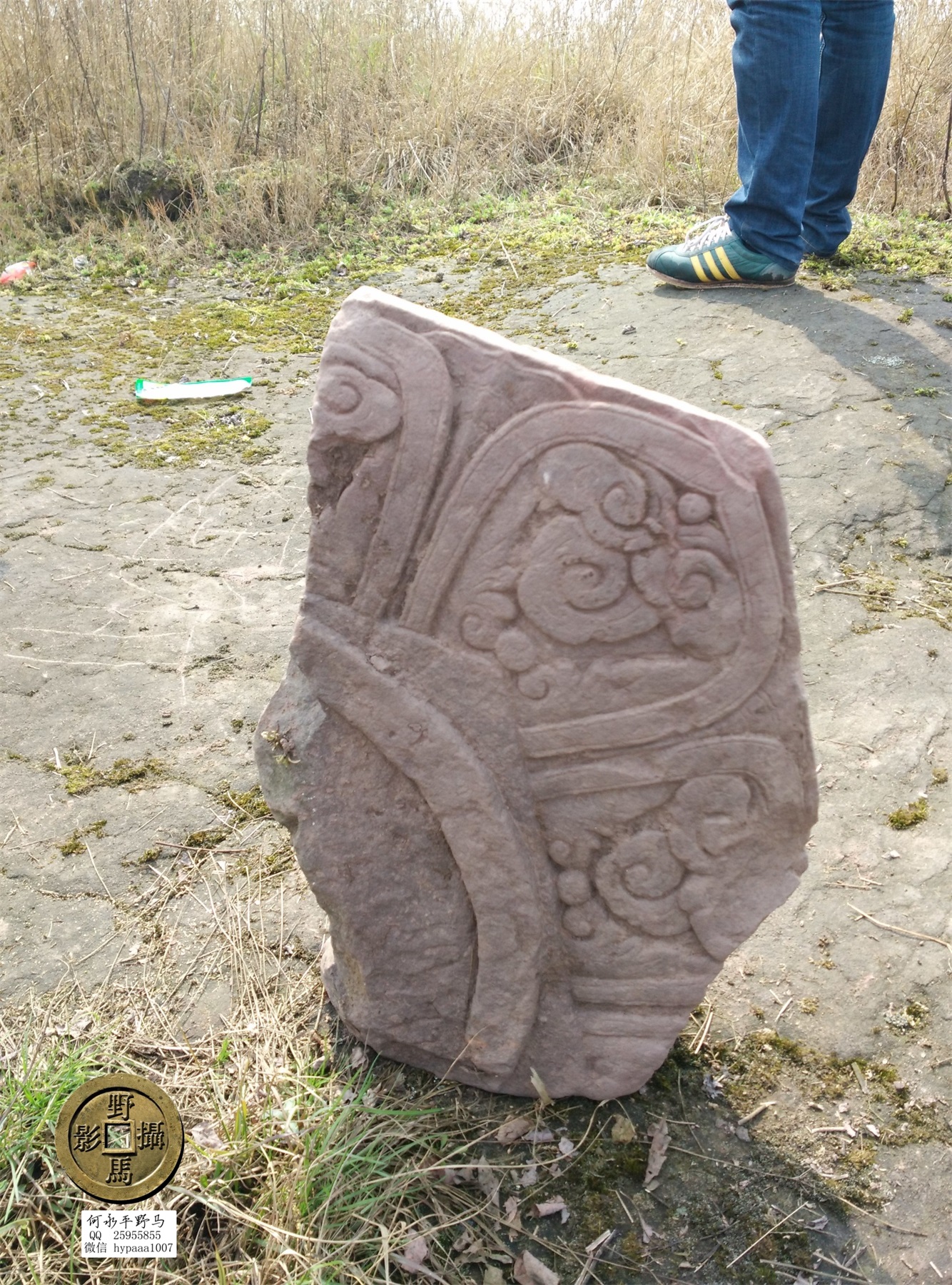 广安撤县名单查询,70年广安县有多少个人民公社