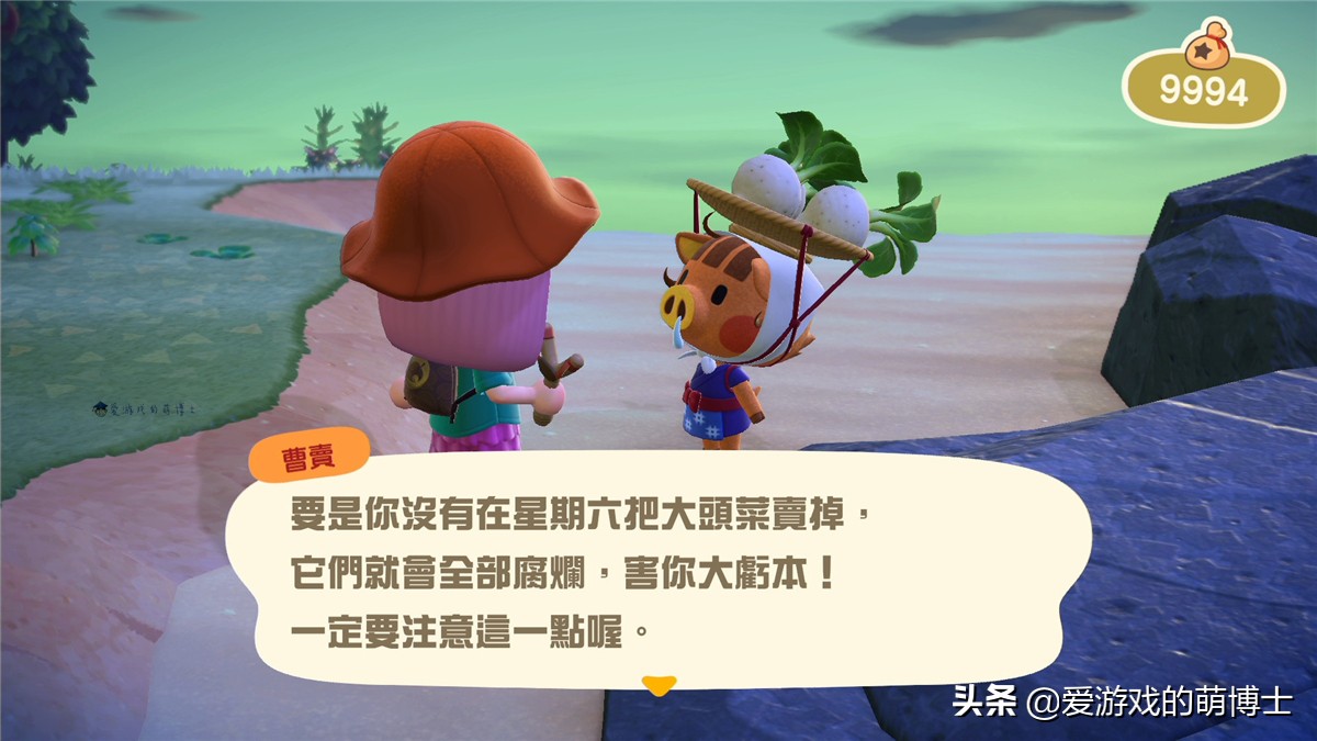 集合啦动物森友会赚钱,集合啦动物森友会游戏截图