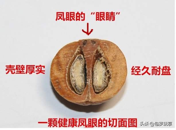 如何变凤眼,霸气凤眼