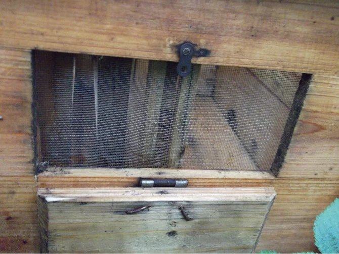 土养中蜂蜂箱新发明,老蜂农蜂箱