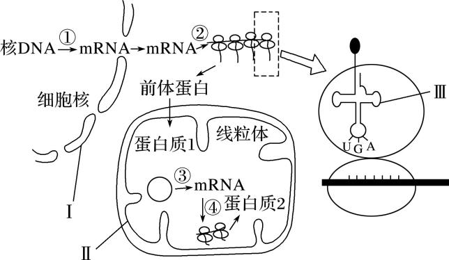 生物期中考选择题必考知识点,2017年生物期中考试题