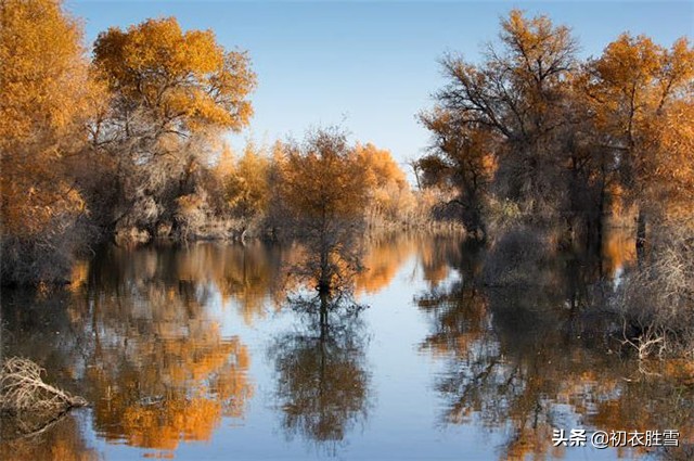 范仲淹写的苏幕遮怀旧有声朗读,范仲淹的秋景图片