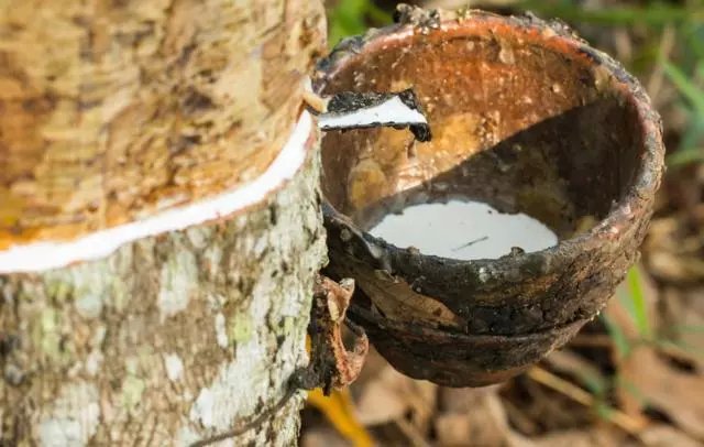 低于50元的乳胶枕什么套路,乳胶枕价格多少才可能是真的