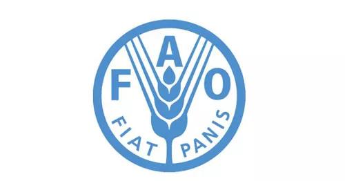 婴儿奶粉选什么牌子好,怎么选婴儿奶粉