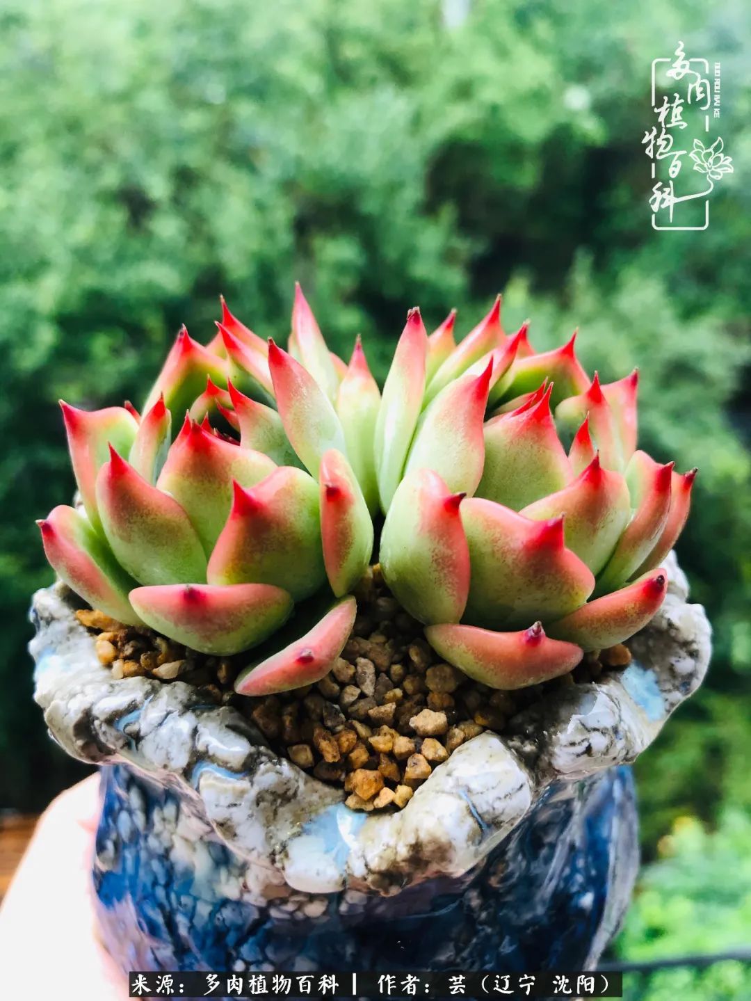 万物皆有灵性有因必有果,万物皆有灵性与生命