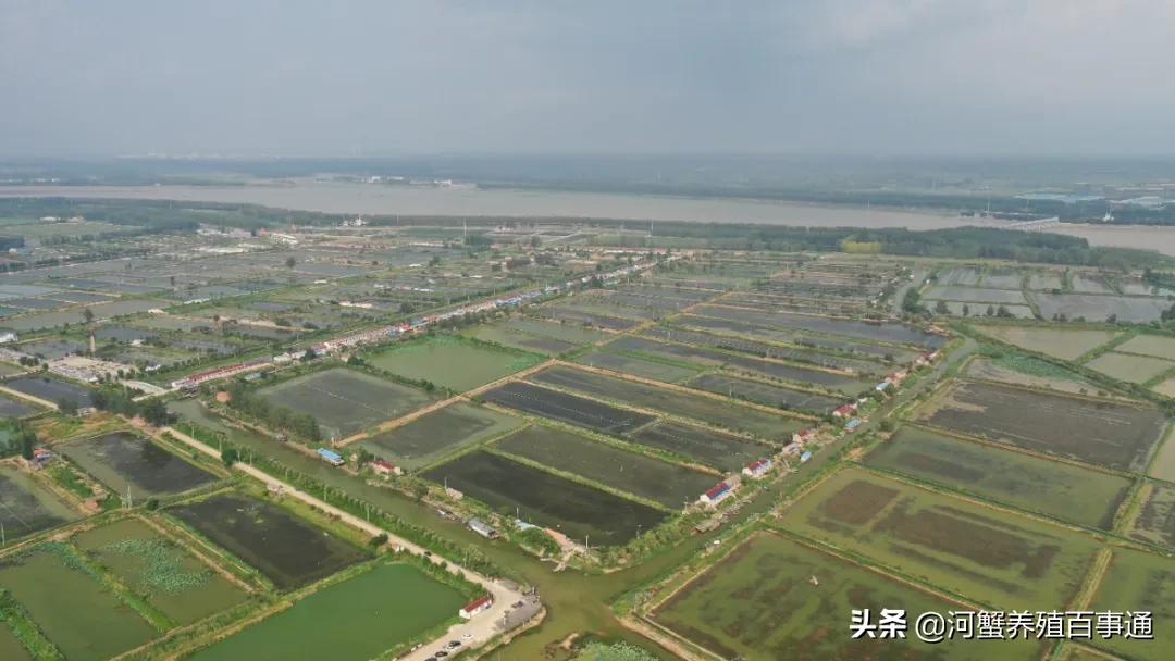 养河蟹致富的地方,河蟹养殖全国第一