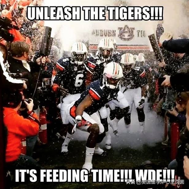 美国教育vs英国教育,王者之争快船vs湖人