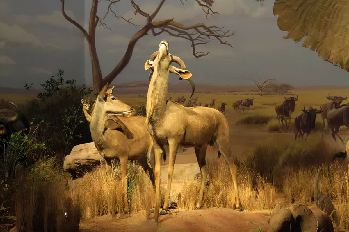 济南免费周末遛娃玩水好去处,济南亲子公园游玩地点推荐