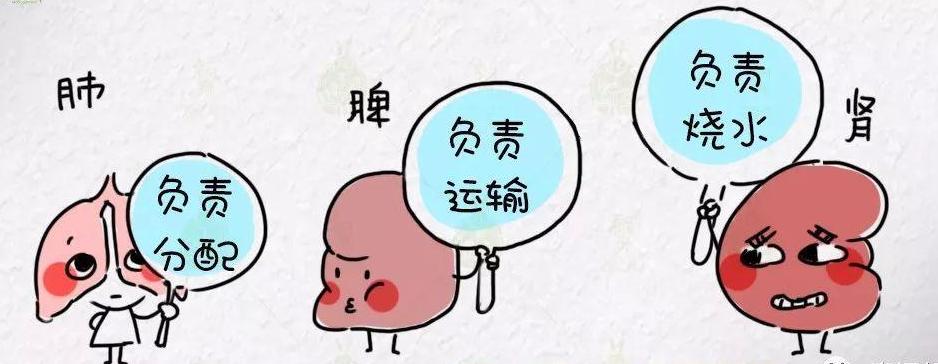 中医怎么治疗囊肿,中医如何解释囊肿