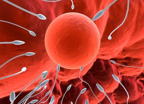 生命起源于地球还是来自太空？其实它是宇宙的创造，而且它很励志