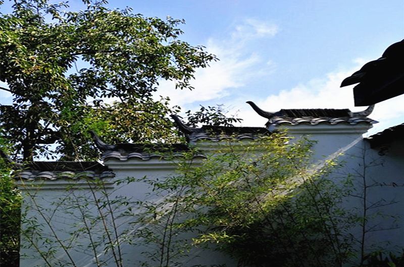 西安高新乡村振兴项目一览表,中国100个乡村振兴样板村