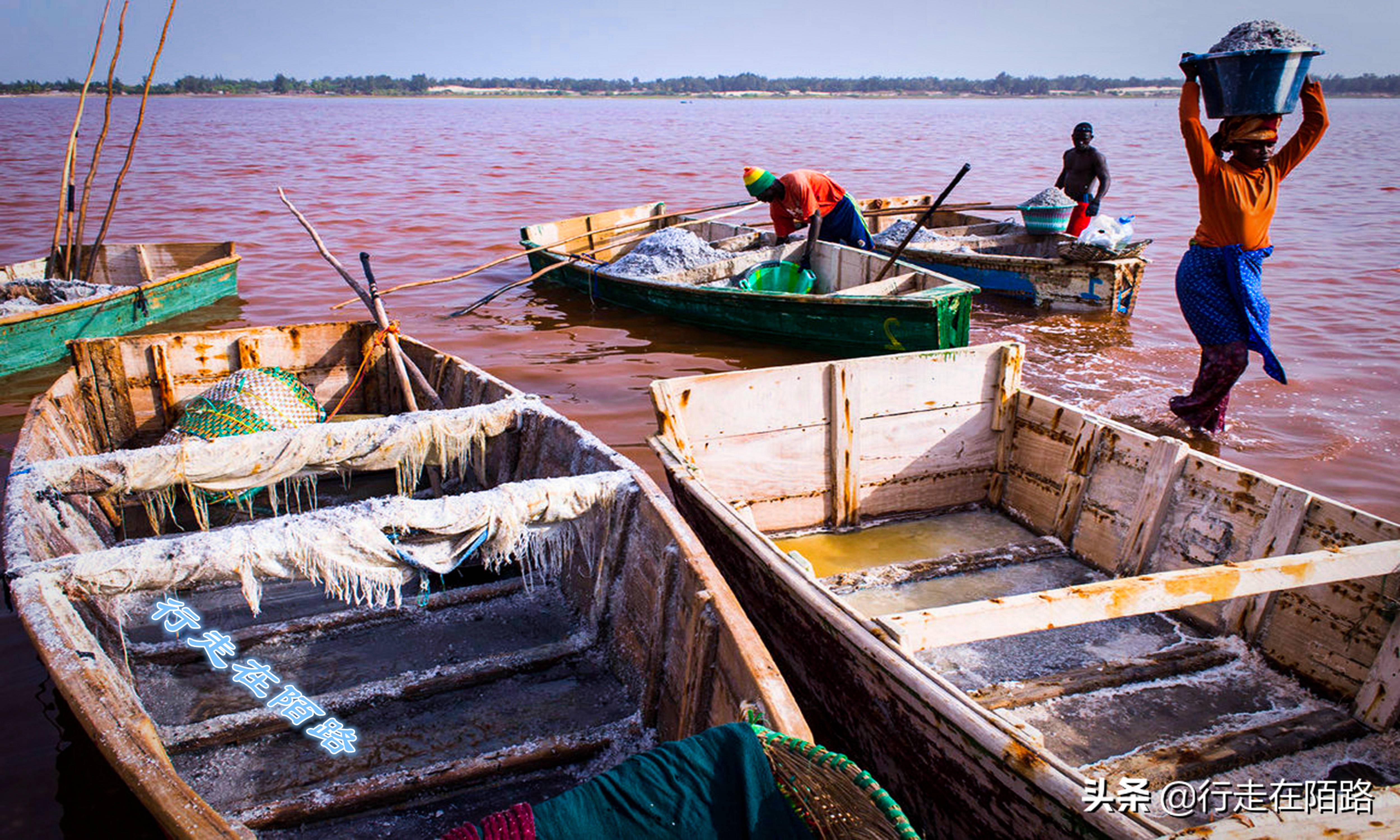 非洲死海：湖深一米采盐直接捞，每升湖水含盐380克