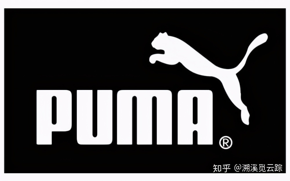 有哪些容易被认错的动物,容易被欺负的动物有哪些