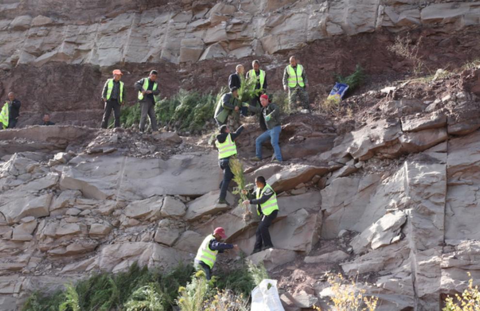 植树造林40年,黄河水变清中国植树造林
