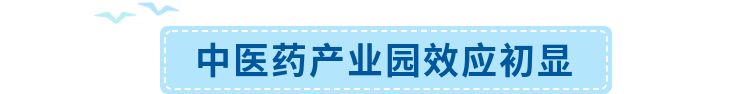 金融+大健康：新“CP组合”碰撞火花，橫琴已蓄势待发