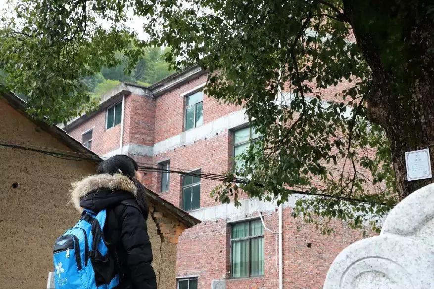 币港湾最新消息,币港湾退出