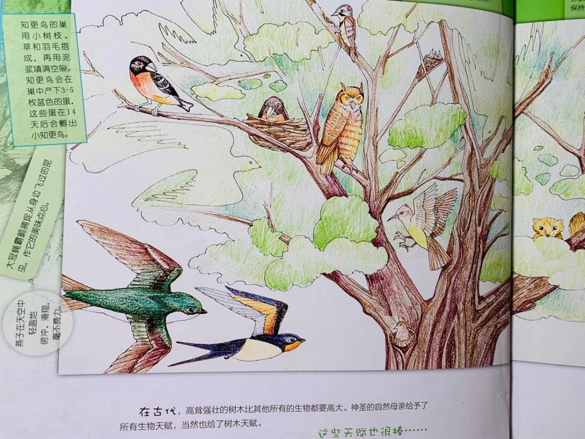 一年级绘本亲子共读视频,一年级绘本读书分享