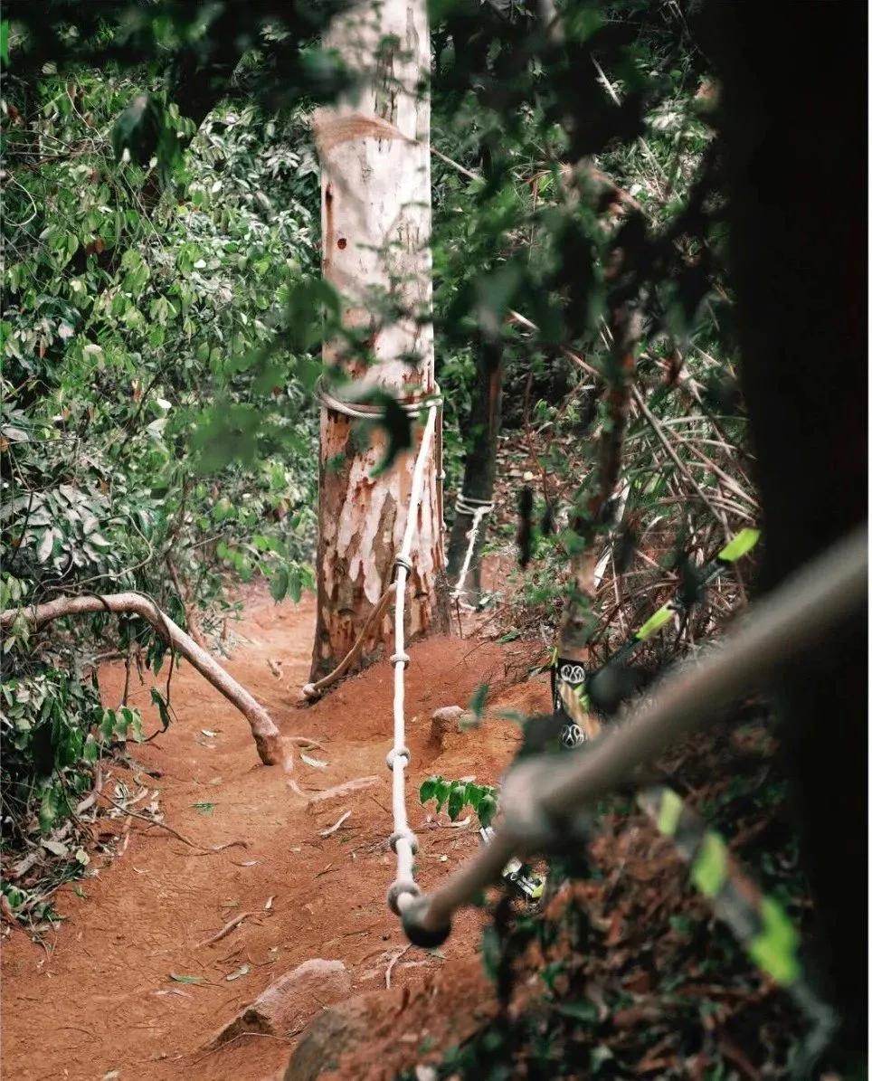 深圳原始登山道视频,深圳首个手工木栈道