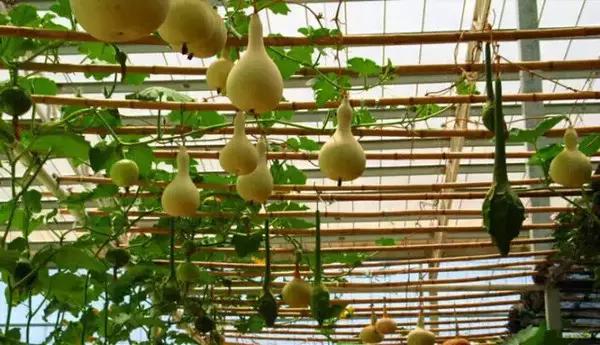 五一小长假昆明周边露营地点推荐,昆明周边户外露营游