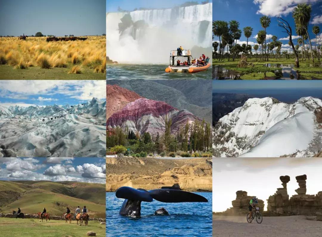 不能拒绝的维也纳咖啡文化,不能拒绝的口味