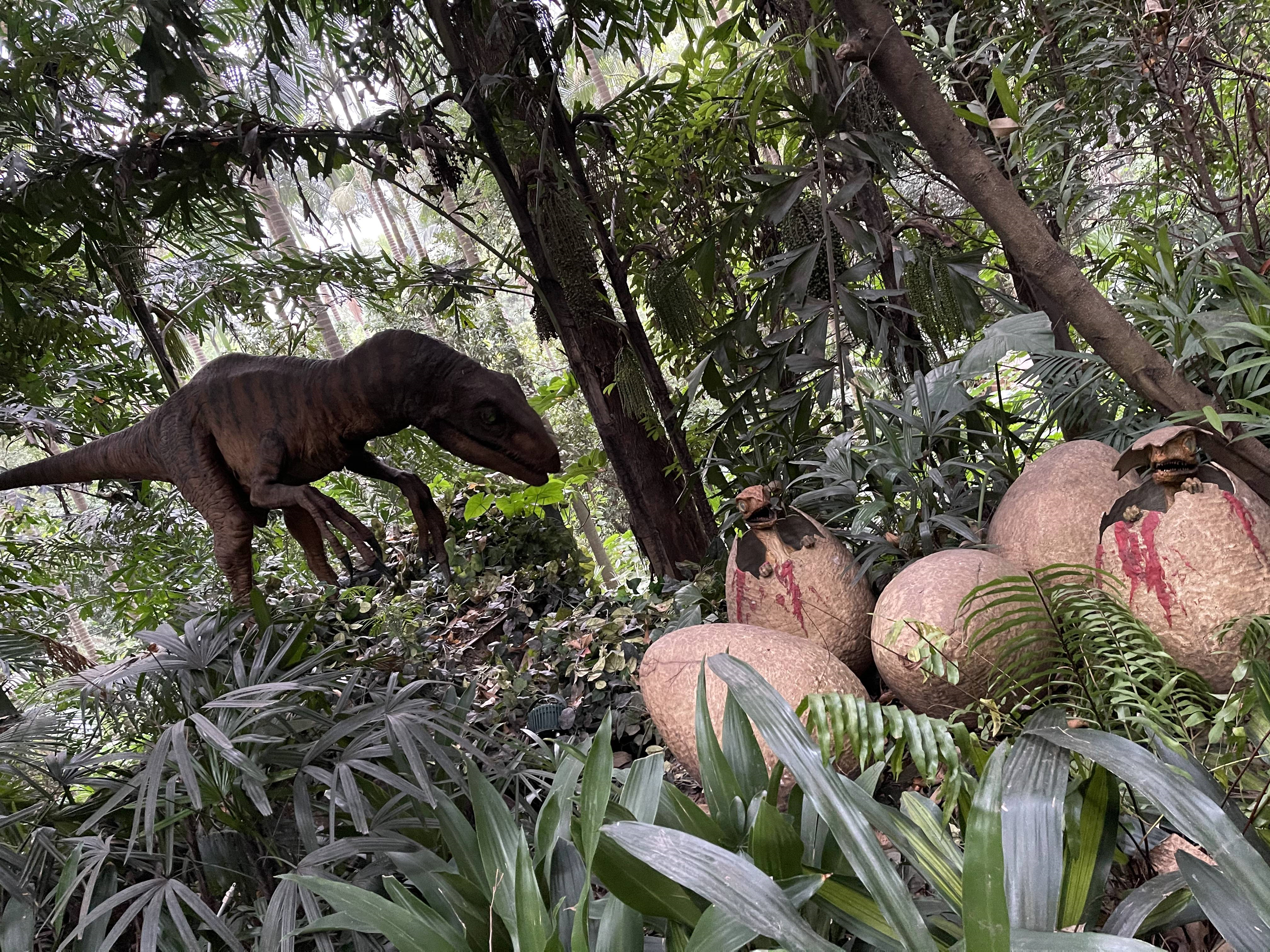 广州长隆野生动物园游玩攻略最新,长隆野生动物园亲子游三天