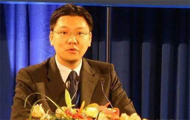 江姐现在孙子的照片,江姐孙子回国视频