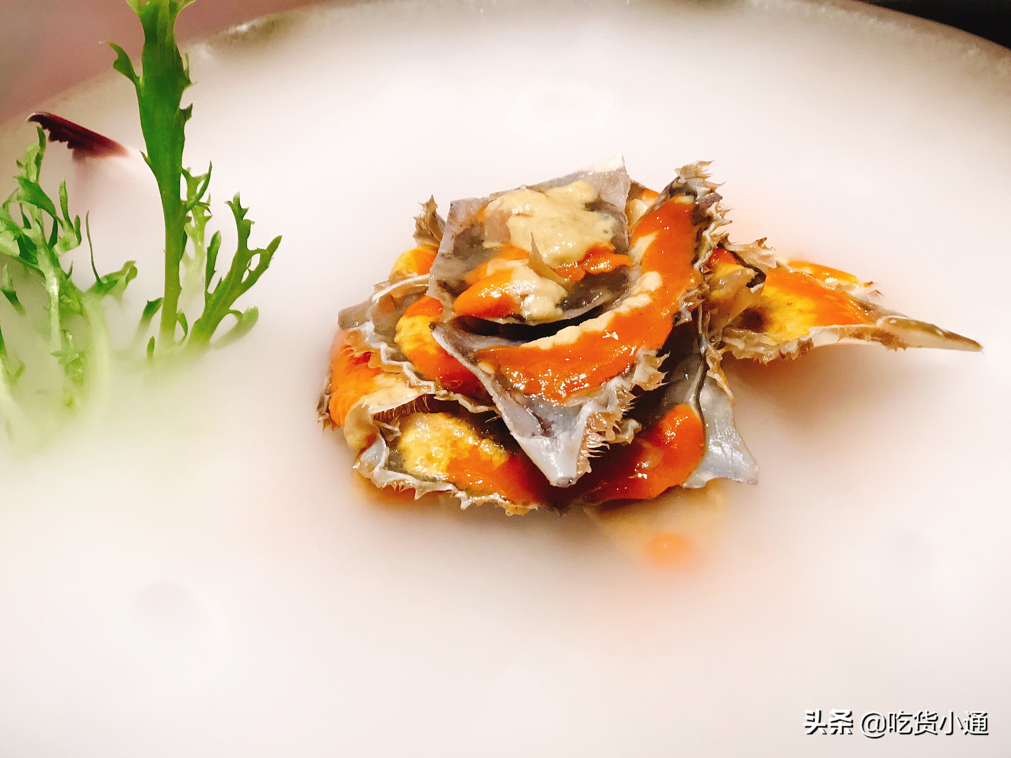 猜年夜饭,猜年夜饭篇