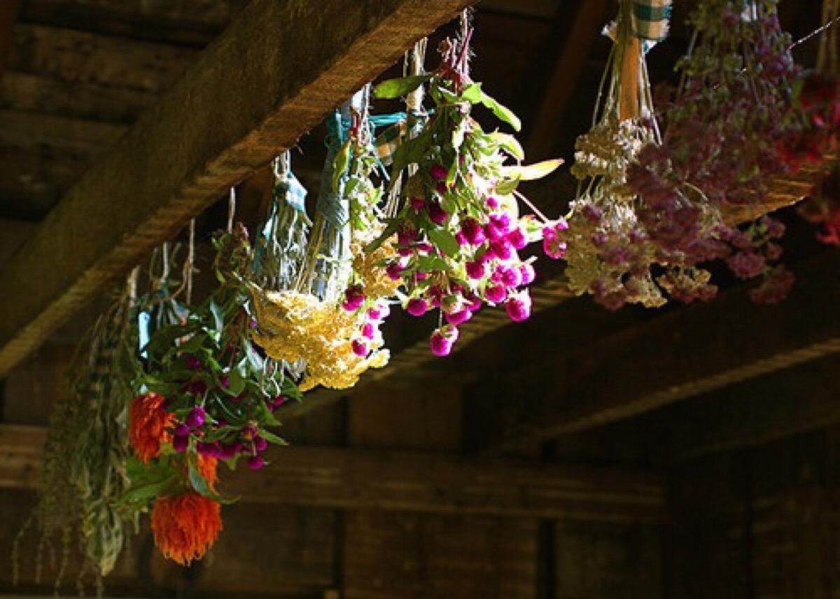 比较丑的干花要怎么做,干花简单高级感