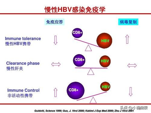乙肝两对半和乙肝dna区别,乙肝dna和乙肝两对半的区别