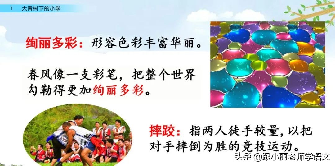 大青树下的小学重要背诵内容,大青树下的小学重点知识点