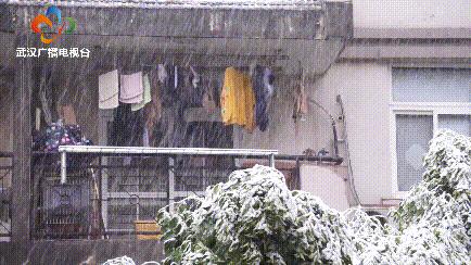 2018年1月武汉大雪,湖北武汉下大雪了吗