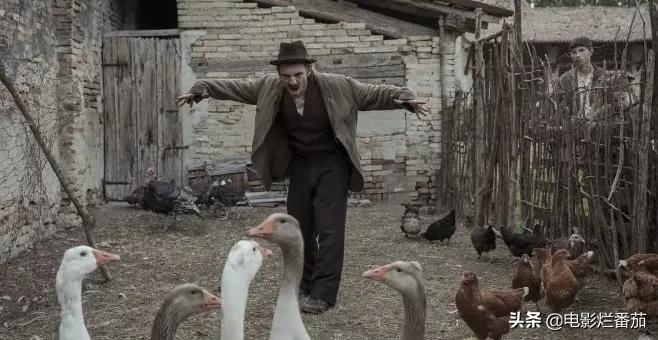 刘德华获华鼎奖影帝拿奖,华鼎奖刘德华拿过吗