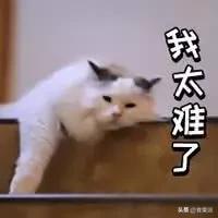 正确的排毒方法怎么排,9招教你有效排毒